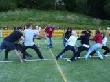 Highslide JS